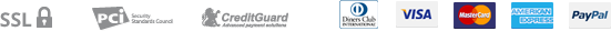 payment_icon