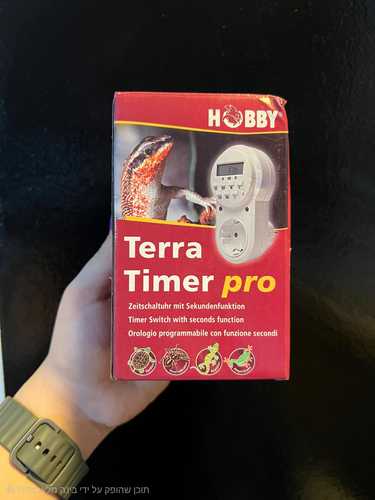 Timer 