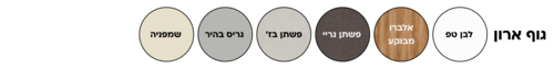 ארון שירות 5009 