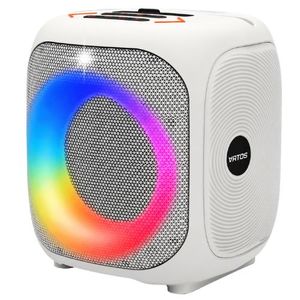 בידורית ניידת עוצמתית 6.5 אינץ – RAVERS BOX 