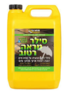 סילר שקוף טבעי 5 ליטר EverBuild