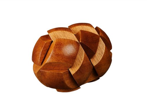 המוחות הגדולים – ביצת האבולוציה