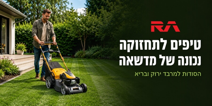 טיפים לתחזוקה נכונה של מדשאה: הסודות למרבד ירוק ובריא