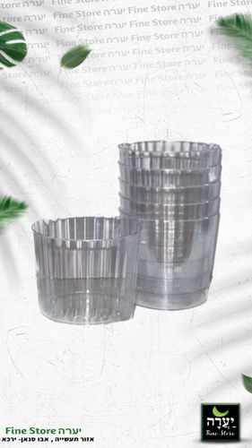 10 כוסות ויסקי פסים שקוף