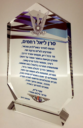 מגיני הוקרה לכוחות הבטחון