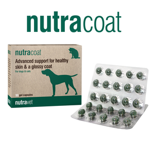 נוטרה קואט NutraCoat תוסף לתמיכה בעור בריא ופרווה מבריקה לכלבים וחתולים (90 קפסולות)- נוטרה-וט