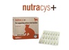 נוטרה ציס+ NutraCys תוסף לתמיכה וחיזוק של בריאות דרכי השתן התחתונות עבור כלבים וחתולים(20 קפסולות)-