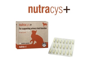 נוטרה ציס+ NutraCys תוסף לתמיכה וחיזוק של בריאות דרכי השתן התחתונות עבור כלבים וחתולים(20 קפסולות)- נוטרה-וט