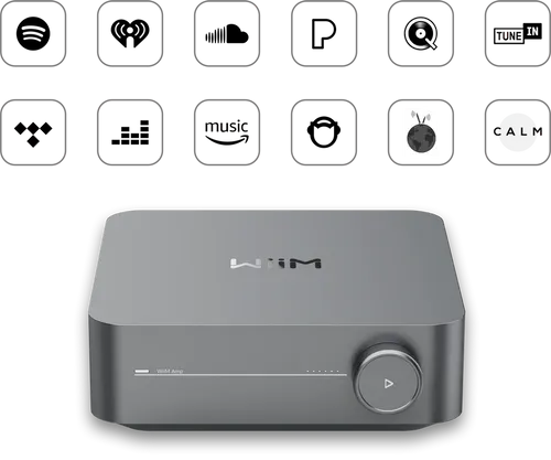 מגבר WIIM AMP