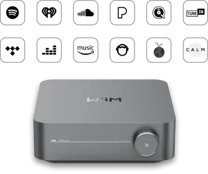 מגבר WIIM AMP