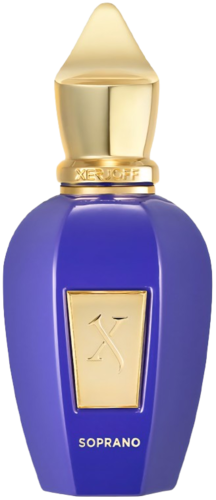 Xerjoff Soprano Tester 100ML EDP טסטר סרג'וף סופרנו יוניסקס