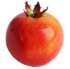 רימון פלסטיק משבעת המינים לחג השבועות