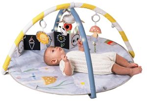 אוניברסיטה ומשטח פעילות עם קשתות מאירות, מובייל וספר התפתחות