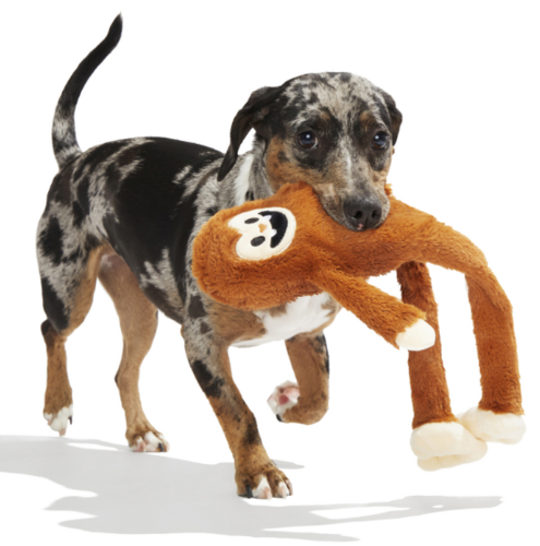 משחק לכלב בובת בארק ג'וש הסקוויזי - BARK SASQUATCH JOSH Toy For Dogs