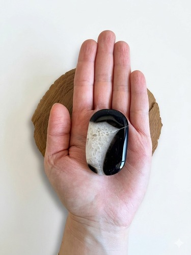 פאלם אגת שחורה BLACK AGATE PALM