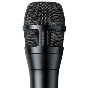 Nexadyne™ 8/C
Cardioid Dynamic Vocal Microphone for Professional Performance
