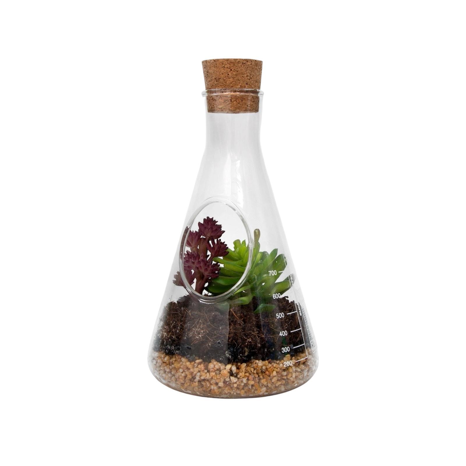 ערכת טרריון Terrarium
