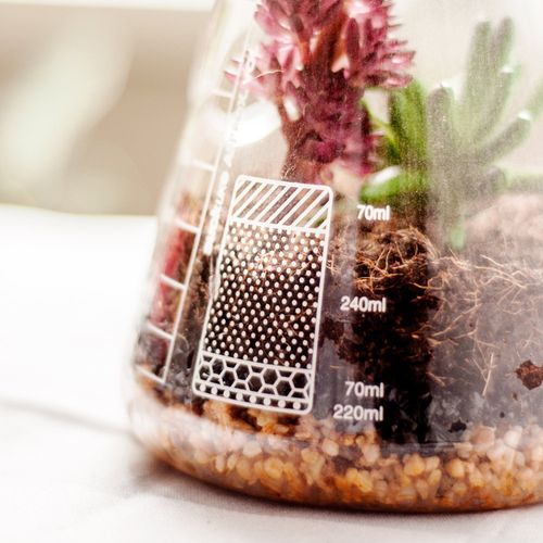 ערכת טרריון Terrarium