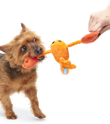 משחק לכלב בובת בארק דאלה הסרטנית - BARK DELLA CRAWFISH Toy For Dogs