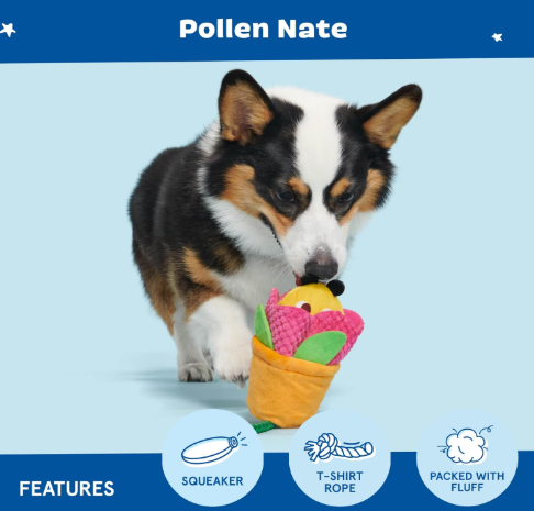 משחק לכלב בובת בארק דבורה מציצה מעציץ - BARK Pollen Nate Bee Squeaky Toy For Dogs