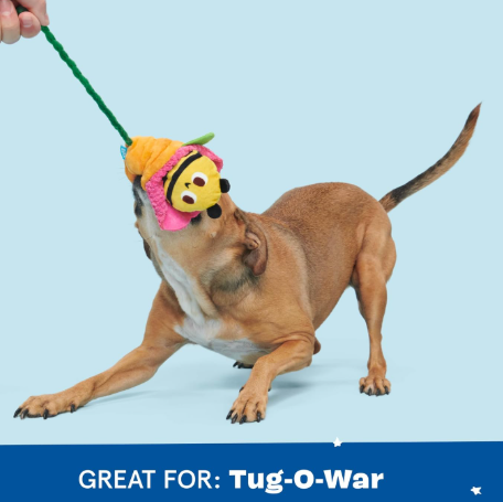 משחק לכלב בובת בארק דבורה מציצה מעציץ - BARK Pollen Nate Bee Squeaky Toy For Dogs
