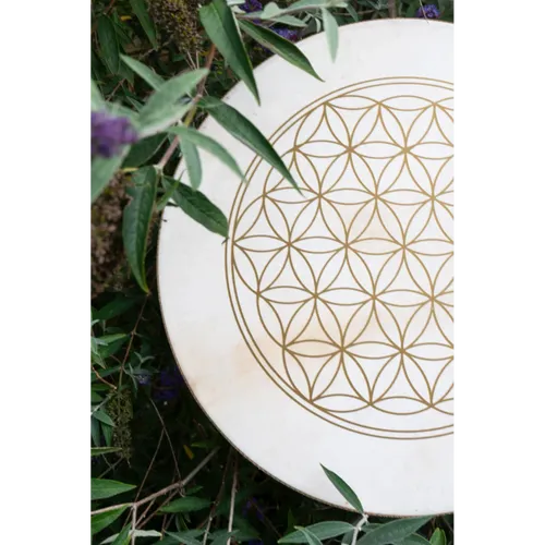 תוף אוקיינוס 18 אינץ' Meinl | Flower Of Life