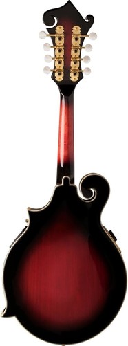 זוית נוספת Washburn Americana M3SWE Mandolin