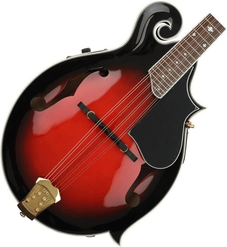 זוית נוספת Washburn Americana M3SWE Mandolin