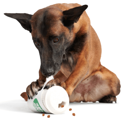 משחק לכלב בובת בארק כוס קפוצ'ינו - Dog Toy Pupkin Spice Latte Treat Dispensing Super Chewer Toy For Medium to Large Dogs