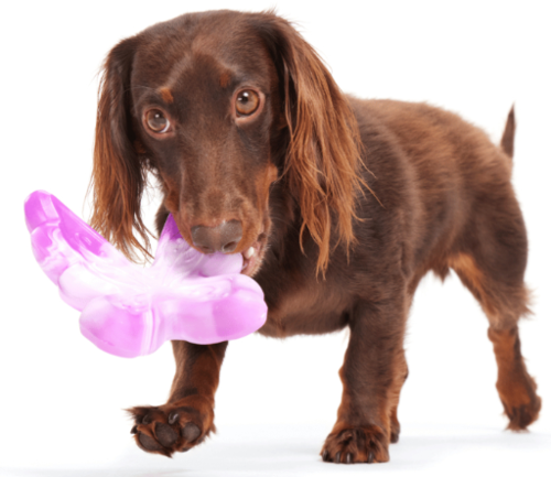 משחק לכלב בארק צעצוע לעיס פרפר גומי - BARK Dog Toy Super Chewer Fairy Dogmother Solid Nylon With Peanut Butter Scent