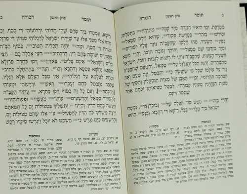 תומר דבורה ע