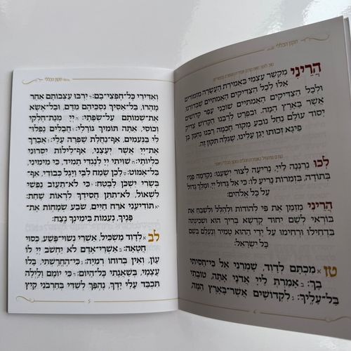 תיקון הכללי דגם היכל הציון אלכסון