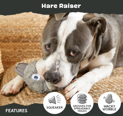 משחק לכלב בארק צעצוע נסתר ארנבת - BARK Dog Toy Super Chewer Hare Raiser Squeaky Plush With Hidden Inside Durable Natural Core With Teeth Cleaning Bristles