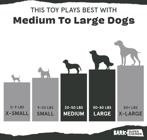 משחק לכלב בארק צעצוע נסתר ארנבת - BARK Dog Toy Super Chewer Hare Raiser Squeaky Plush With Hidden Inside Durable Natural Core With Teeth Cleaning Bristles