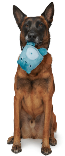 משחק לכלב בארק צעצוע נסתר דובי הדוב האפור - BARK Dog Toy Super Chewer Grey Bear Hugger With Hidden Squeaky 