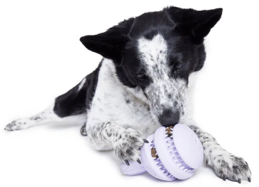 משחק לכלב בארק צעצוע נסתר היפי הארנבית - BARK Dog Toy Super Chewer Hippie Hopper With Hidden Squeaky 