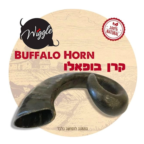 קרן בופאלו וויגל