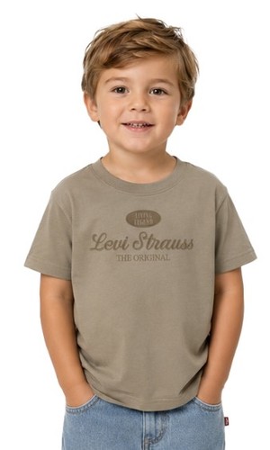 חולצת ליוויס Levi's Embroidered Short Sleeves T-Shirt | פעוטות