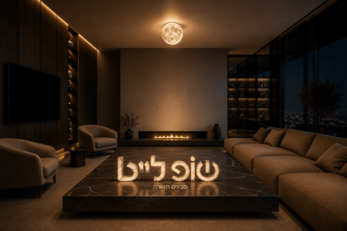 צמוד תקרה דגם 