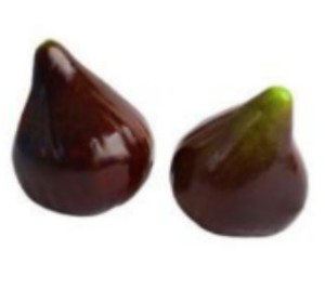 תאנה משבעת המינים לחג השבועות