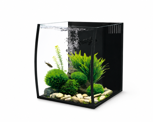 פרפקט אקווריום מעוגל Perfect Aquarium Rimless BL-05 