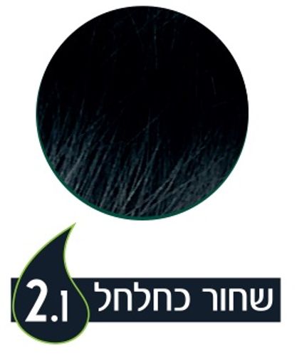 צבע שיער קבוע 2.1 נטורטינט - שחור כחלחל