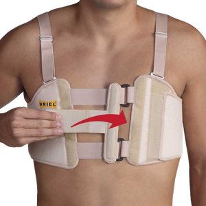 חגורה מתהדקת\מתכווננת (STERNUM) | מידה אוניברסלית ONE SIZE