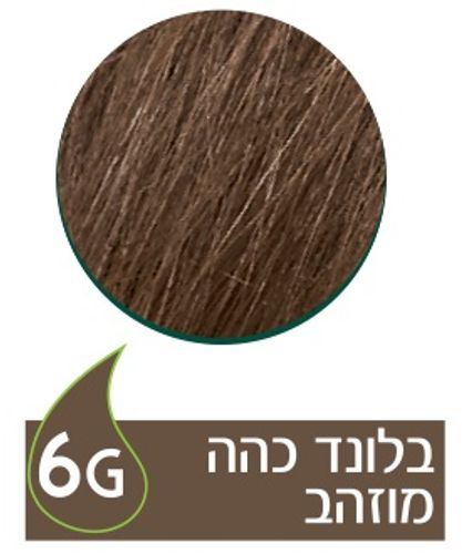 צבע שיער קבוע 6G נטורטינט - בלונד כהה מוזהב