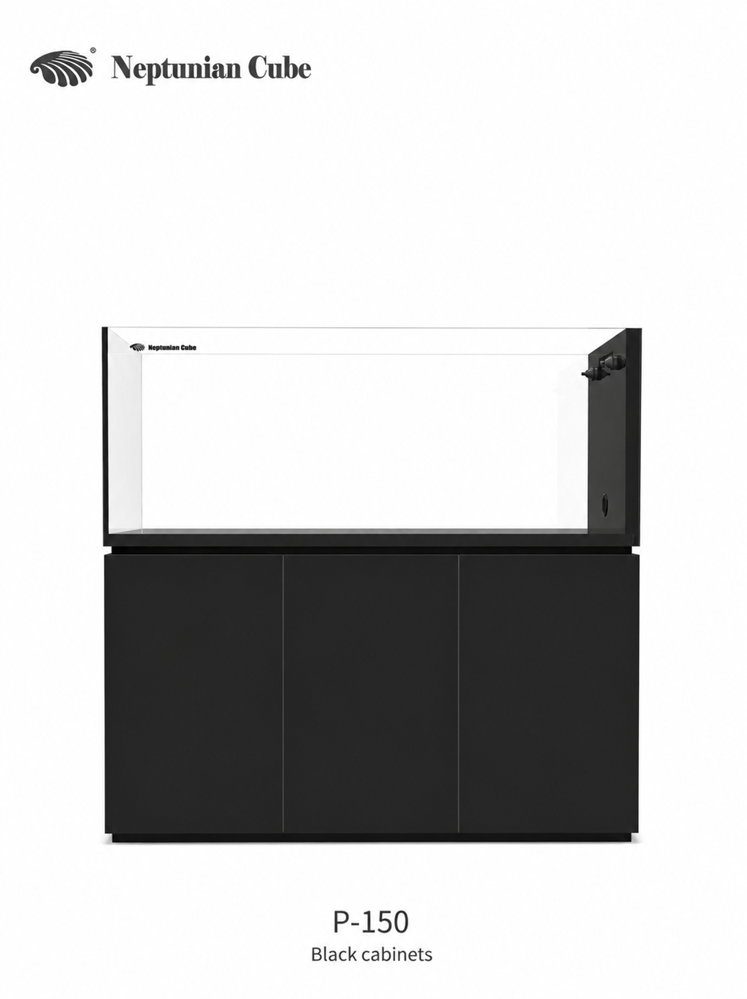 נפטוניאן קיוב פנינסולה Neptunian Cube P-150