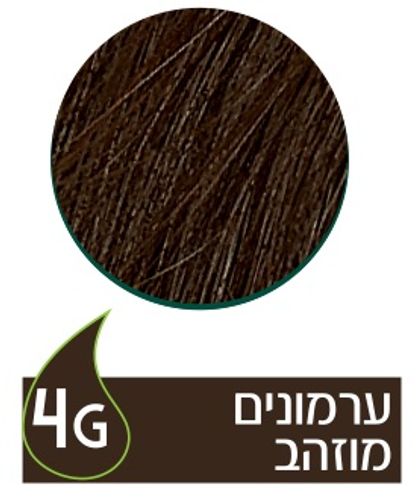 נטורטינט | |צבע שיער קבוע | 4G ערמונים מוזהב | 165 מ