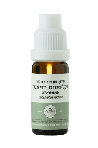 שמן אתרי טהור אקליפטוס רדיאטה | 50 מ