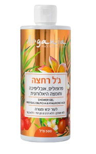 ג