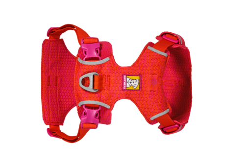 Front Range® Flex Harness