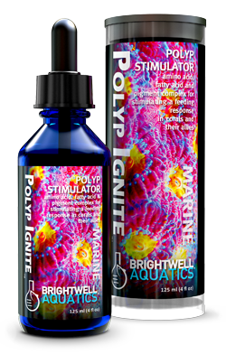 ברייטוול פוליפ איגנייט 125 מ"ל Brightwell Coral Polyp Ignite